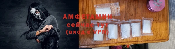 прущие грибы Семикаракорск