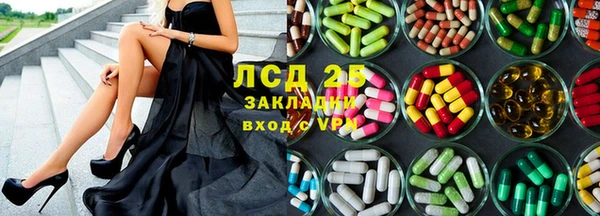 ешки Бородино