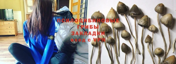 ешки Бородино
