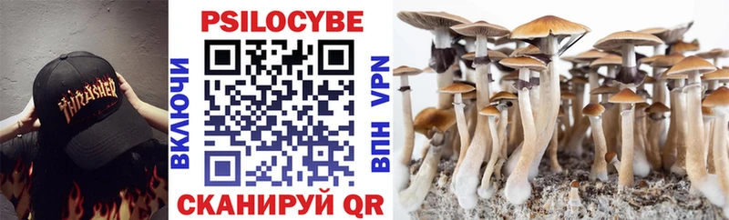 Галлюциногенные грибы Cubensis где можно купить наркотик Новоржев